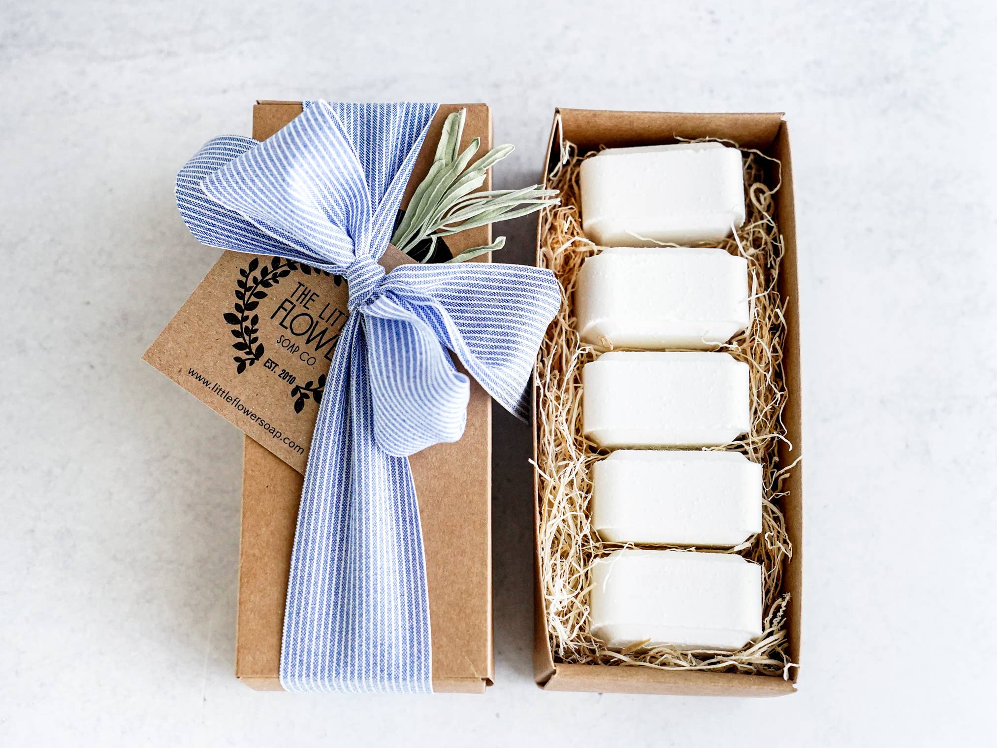 Shower Steamers Gift Set of 5 Menthol gift