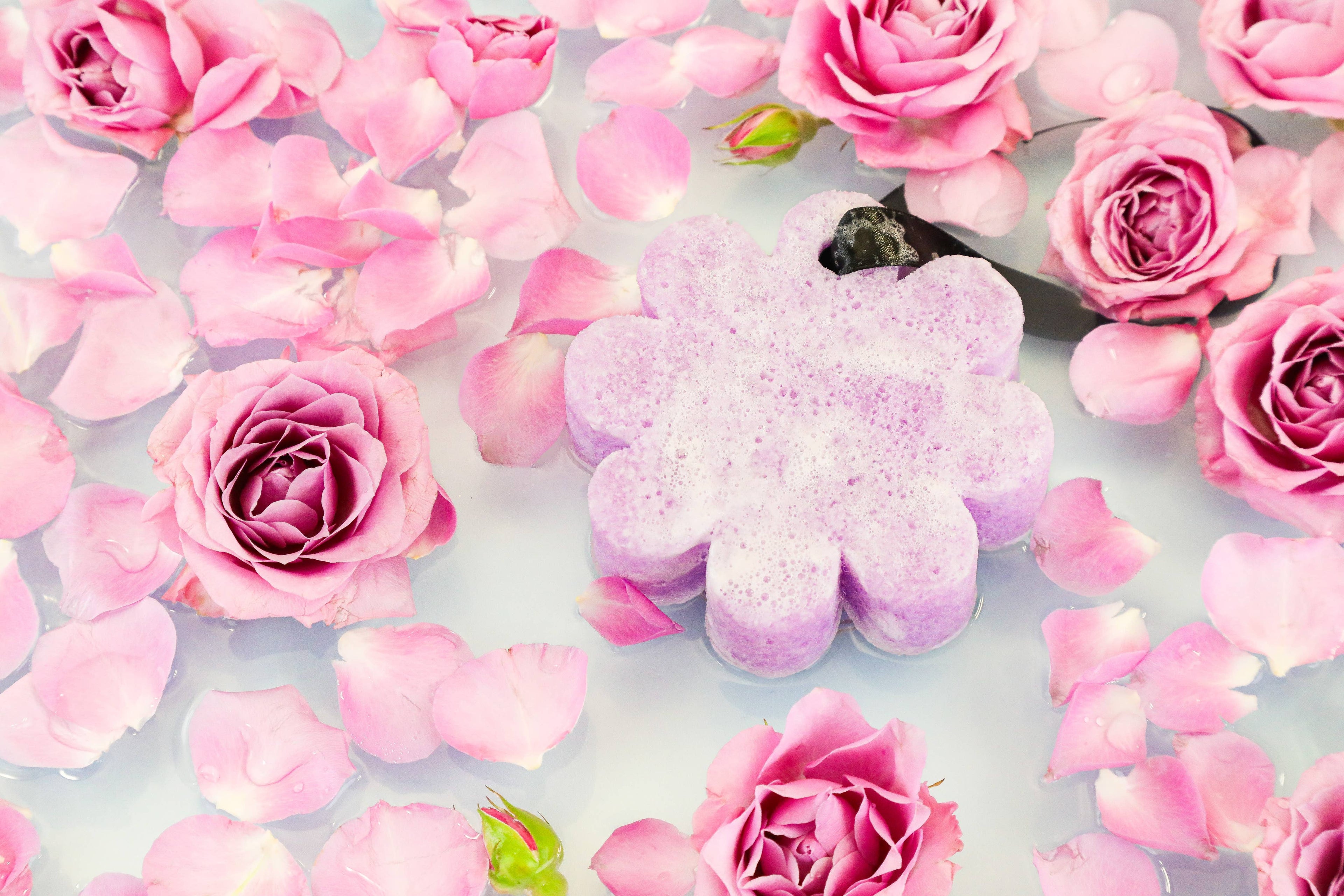 French Lavender Wild Flower | Soap Sponge | Soap Buffer