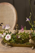 E+E Emerson Tray